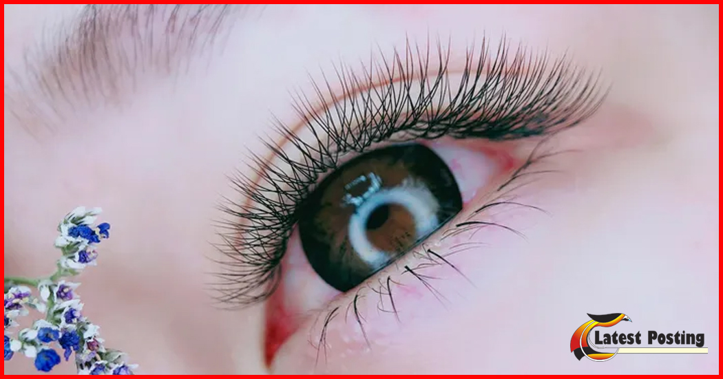 Fashion Eyes