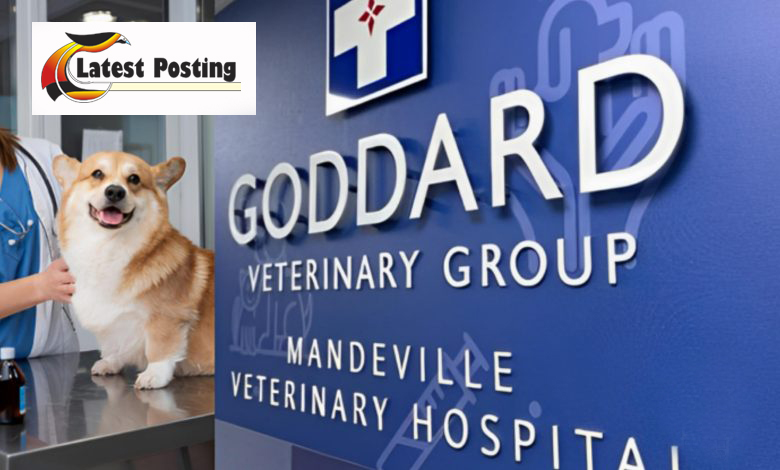 Goddard-Veterinary-Group-Chalfont-St-Peter-Lower-Road-Chalfont-Saint-Peter-Gerrards-Cross-2