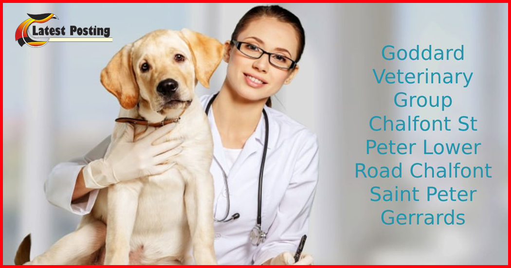 goddard veterinary group chalfont st peter lower road chalfont saint peter gerrards cross