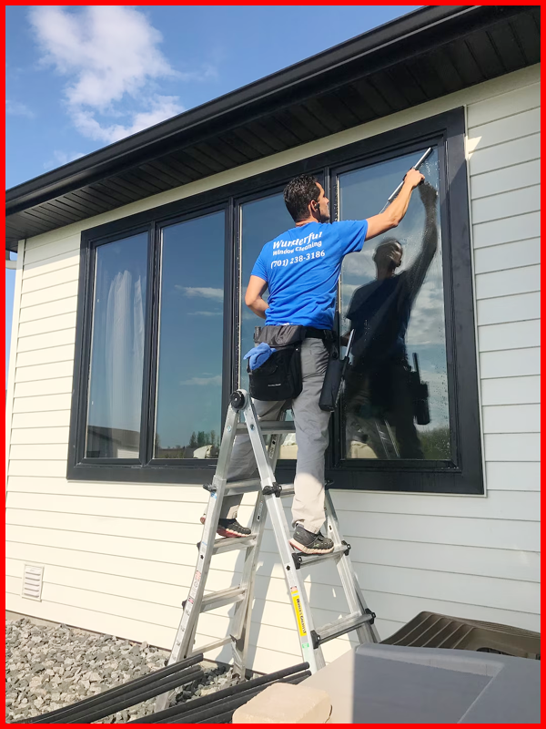 Window Cleaning Services