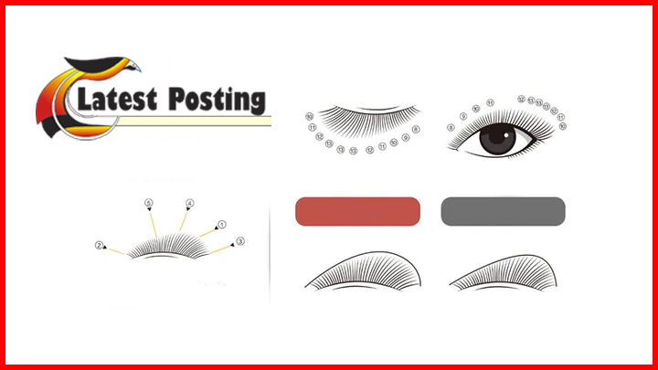 eyelash extensions eyelash extensions