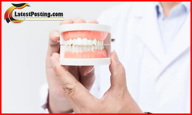 Teeth