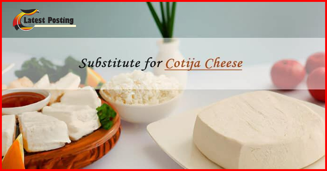 Cotija Cheese Substitutes
