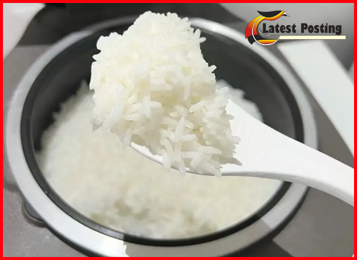 Rice Cooker